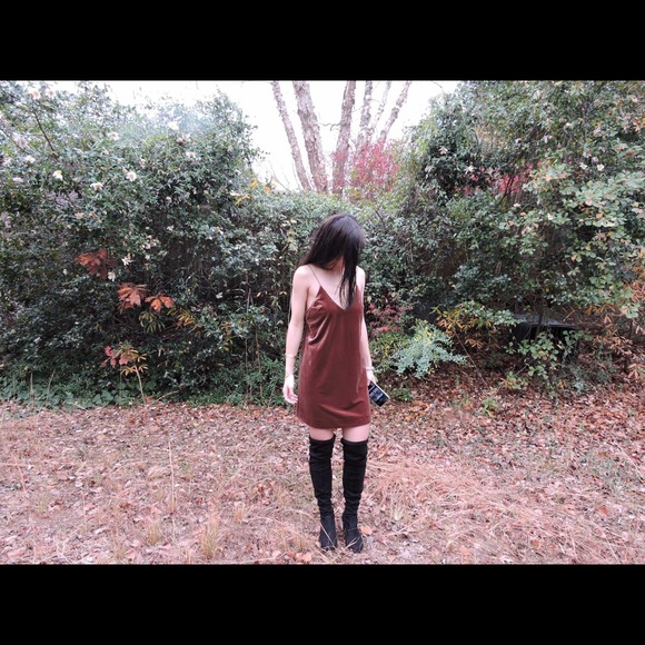 🚫Sold🚫✨Velvet Crush Dress - Picture 3 of 4