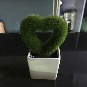 Meet your Posher, Yen