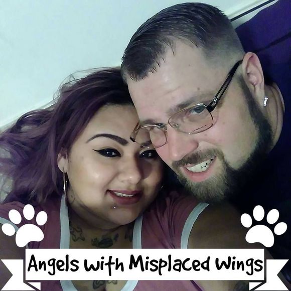 Meet your Posher, Jared - Picture 1 of 1