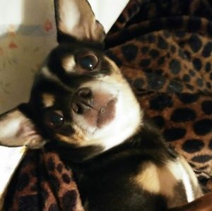 Meet your Posher, Allisyn