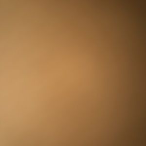 Meet your Posher, Ashton