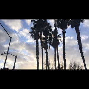 Meet your Posher, Edwin