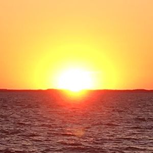 Meet your Posher, Corey