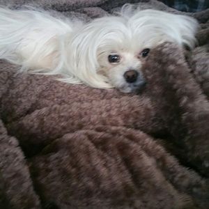 Meet your Posher, Paula