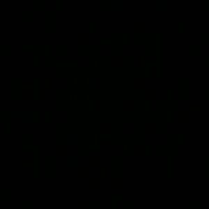 Meet your Posher, Ariel