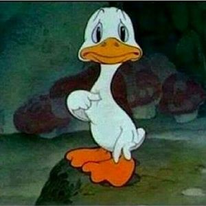 Meet your Posher, Harsh