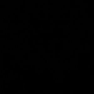 Meet your Posher, Noemy