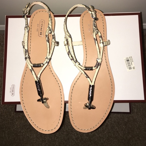 Coach Shoes - BRAND NEW! Coach snake print thong sandals
