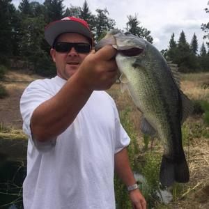 Meet your Posher, Darren