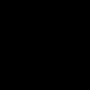 Meet your Posher, Joel