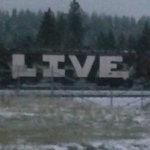 Meet your Posher, Carolyn