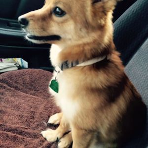 Meet your Posher, Tanya