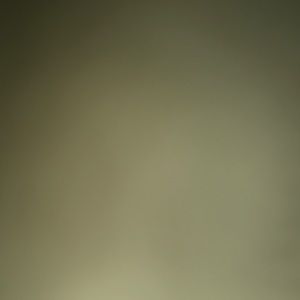 Meet your Posher, Neal