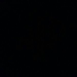 Meet your Posher, Tony