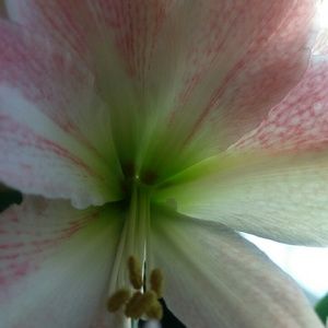 Meet your Posher, Tanya