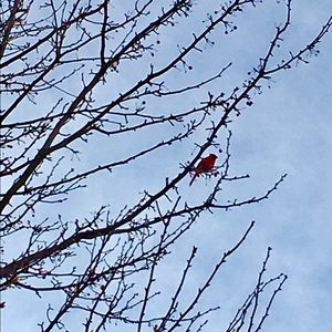 Meet your Posher, Suzanne