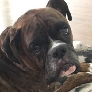 Meet your Posher, Jessy