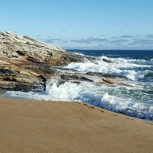 Meet your Posher, Darlene