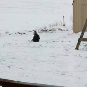 Meet your Posher, Kandi