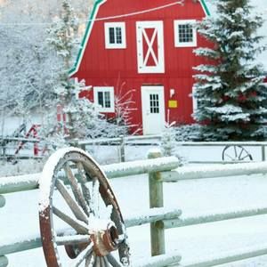 Meet your Posher, Peggy