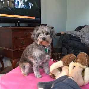 Meet your Posher, Kim