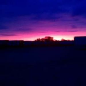 Meet your Posher, Patricia