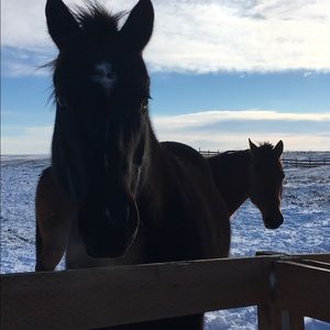 Meet your Posher, Monica