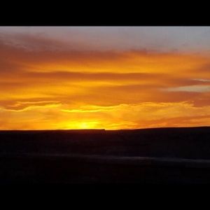 Meet your Posher, Dee