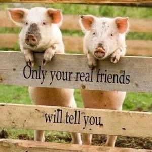 Meet your Posher, Lynda