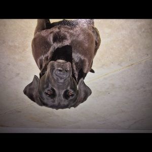 Meet your Posher, Jenna