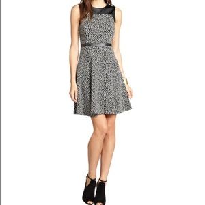 Taylor Animal Print Faux Leather Trim Fit & Flare