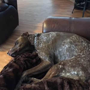 Meet your Posher, Shawna