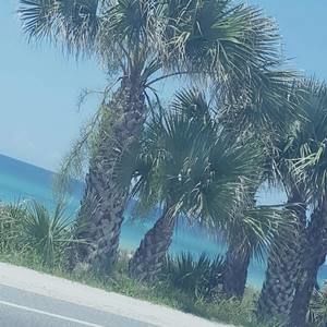 Meet your Posher, Rivera