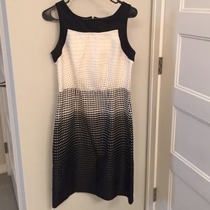 The Limited black and white knee length dress