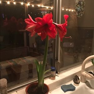 Meet your Posher, Doris