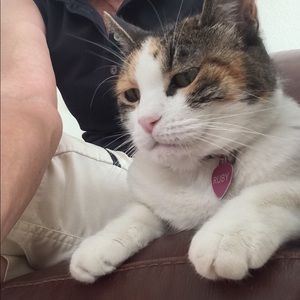 Meet your Posher, Pamela