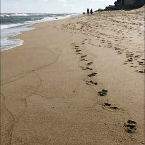 Meet your Posher, Hayden