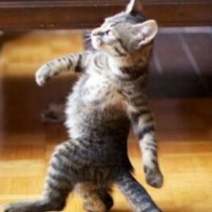 Meet your Posher, Josh