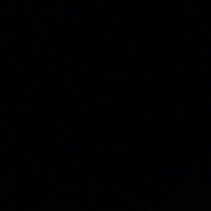 Meet your Posher, Ava