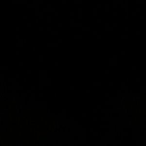 Meet your Posher, Kendra