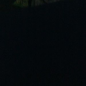 Meet your Posher, Tomas