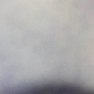 Meet your Posher, Arlene