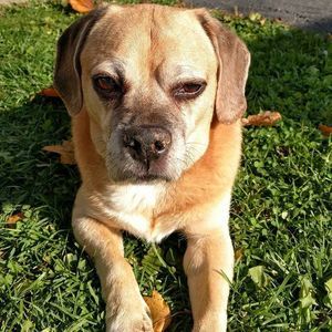 Meet your Posher, Scott kristie