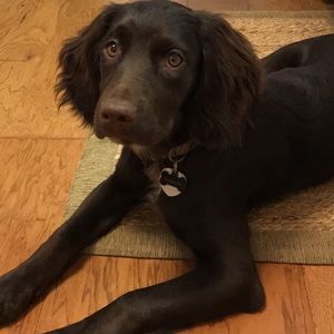 Meet your Posher, Michael