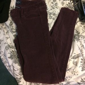 Eggplant corduroy Jeggings