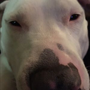 Meet your Posher, Jenn