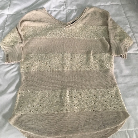 Sparkly Express sweater