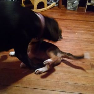 Meet your Posher, Kathy