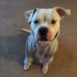 Meet your Posher, Tilly