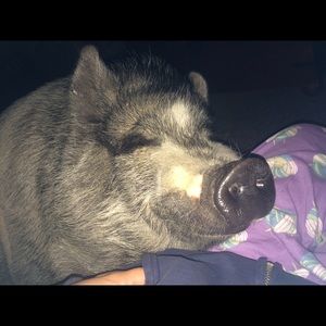 Meet your Posher, Kelly